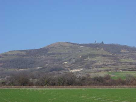 vue
