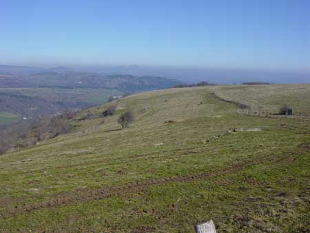 DSC00640
