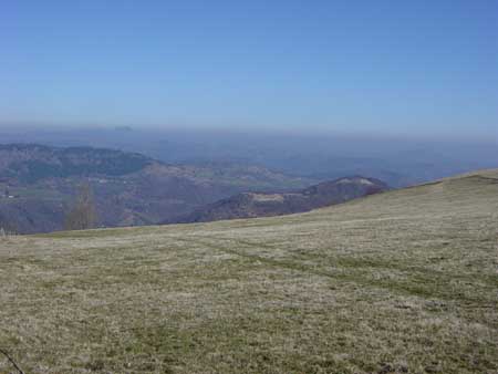 vue
