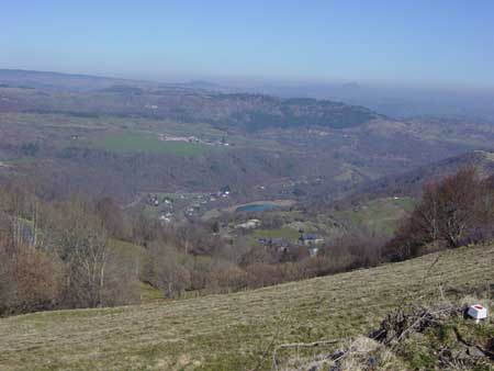 vue