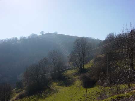 vue