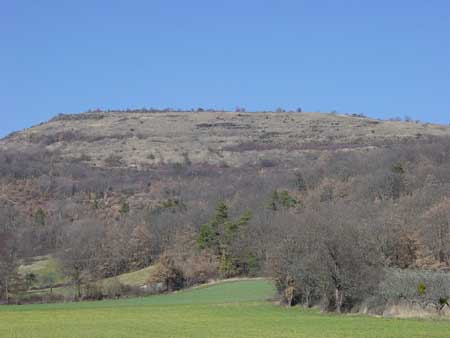 vue