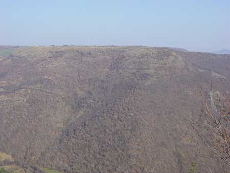 vue