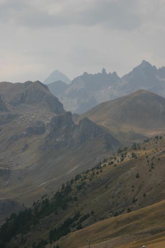 IMG_1284