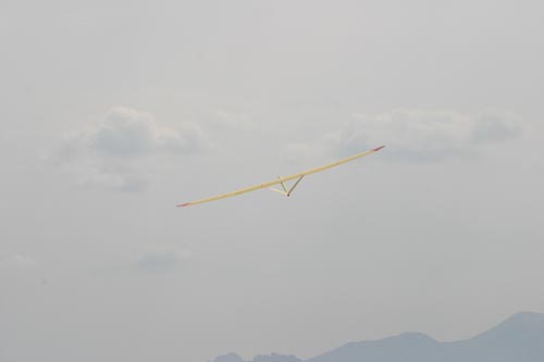 IMG_1290