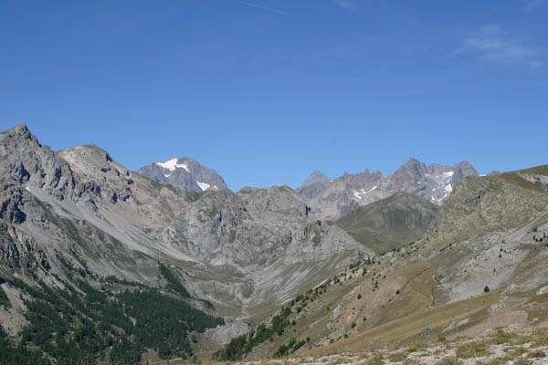 IMG_5006
