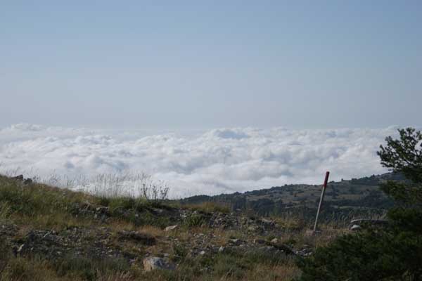 IMG_0623