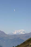 IMG_5469