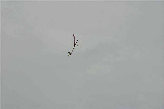 IMG_2439