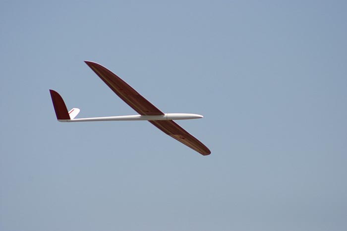 EPV0006