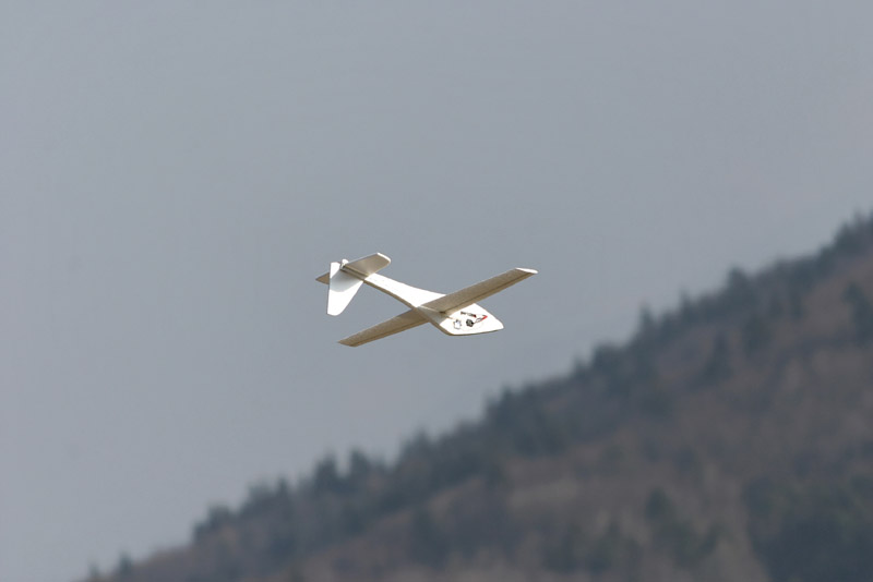 IMG_2444_DxO