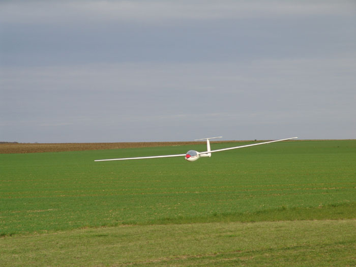 DSC00516