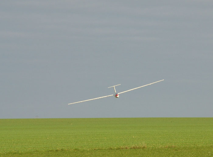 Dsc00601b