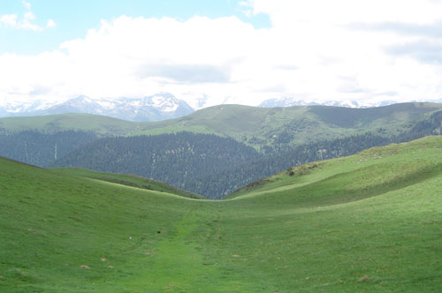 le_cote_sud