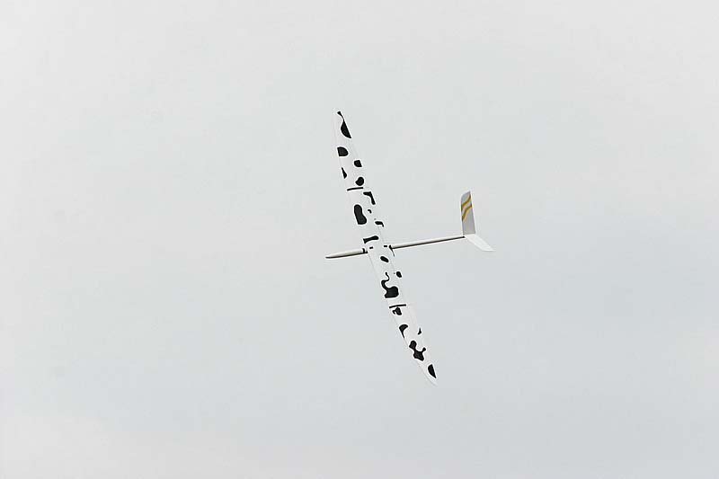 IMG_8817_DxO