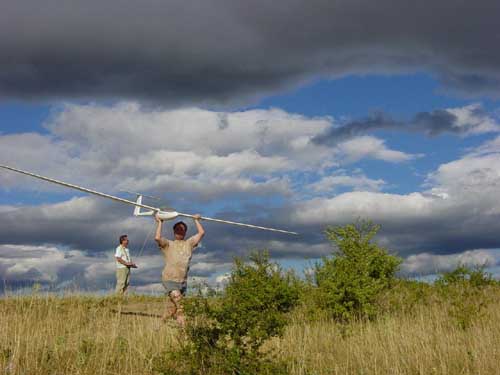 planeur assez rare un kestrel de 5 m