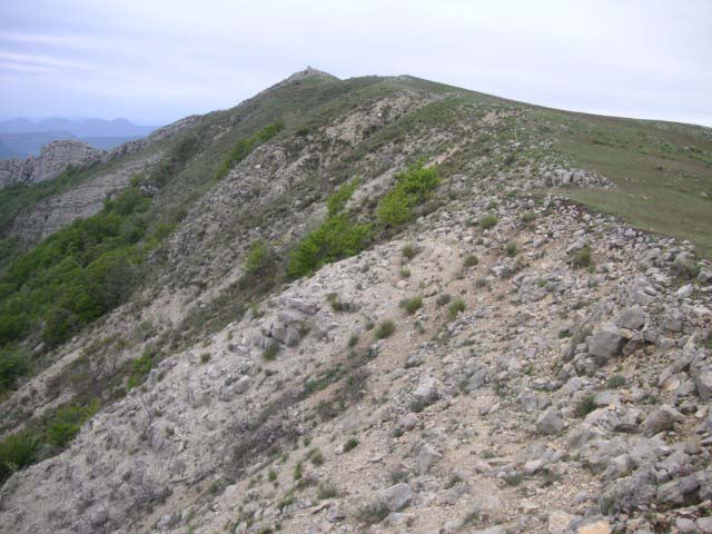 ATT00183