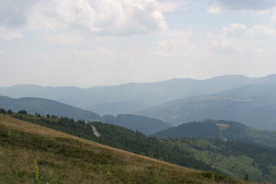 IMG_0776