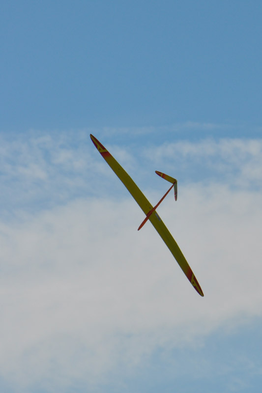 AlliajHM_44