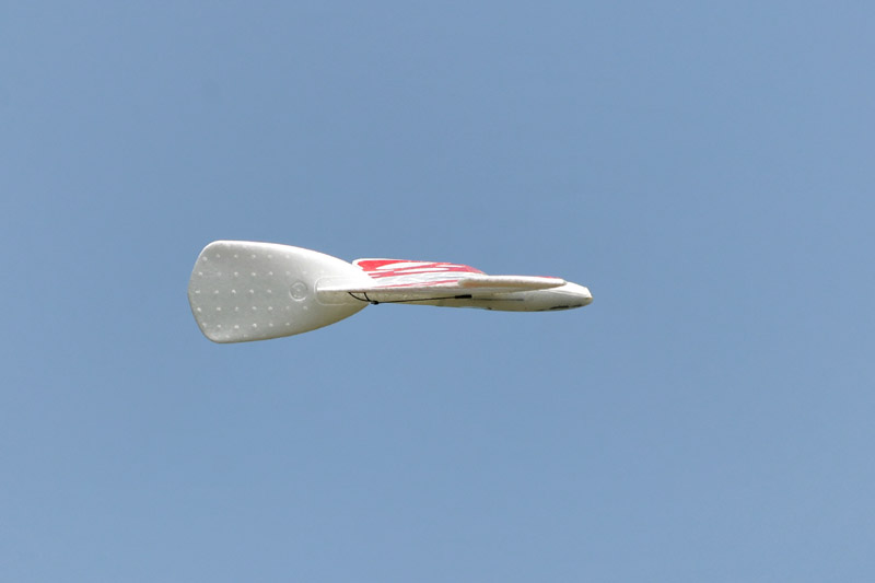IMG_9504_DxO_cr