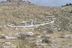 DG1000_065