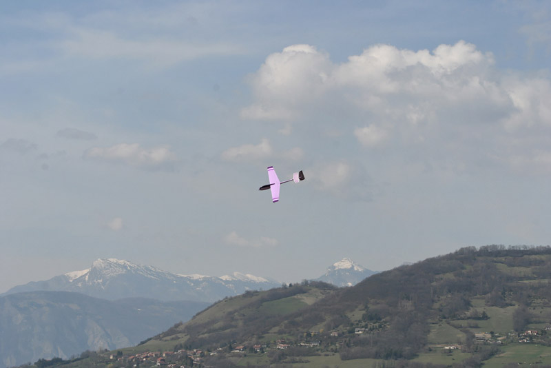 Coquillaj_051