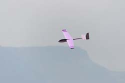Coquillaj_039