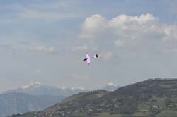 Coquillaj_051