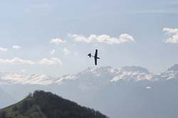 Coquillaj_052