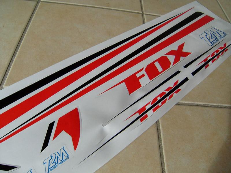 FoxT2M_23