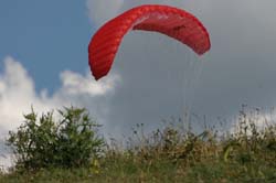 IMG_3030