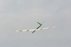 OpenF3F2009_032