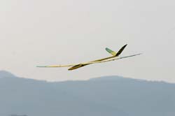 OpenF3F2009_048