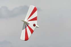 IMG_8668_DxO_cr
